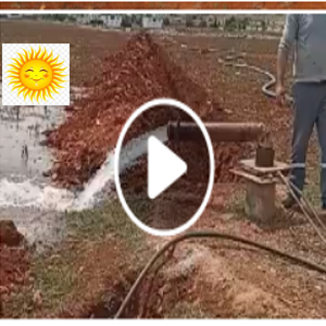 Dalgıç  <br> Pompa